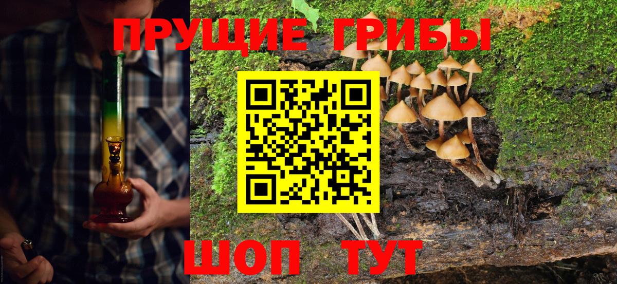 Псилоцибиновые грибы MAGIC MUSHROOMS Минеральные Воды