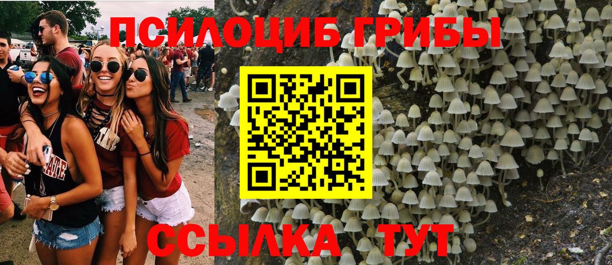Минеральные Воды  Галлюциногенные грибы Psilocybine cubensis  Вход с VPN 